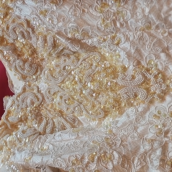 Gorgeous beaded lace sequin gown sold as is - Picture 5 of 11